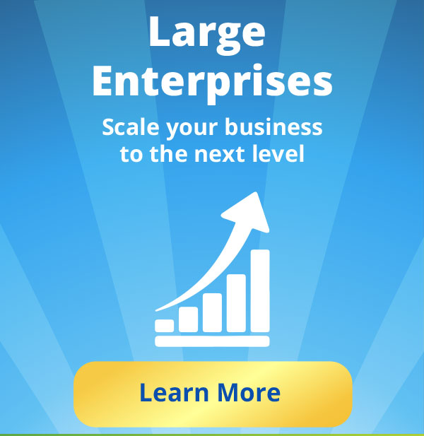 Large Enterprises: Scale your business to the next level