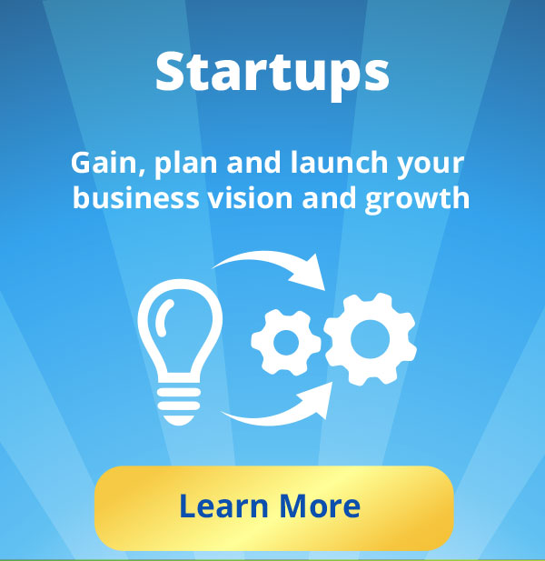 Startups: Gain, plan and launch your business vision and growth